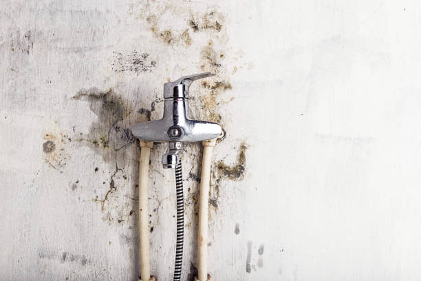 Best Affordable Mold Removal  in Croton On Hudson, NY