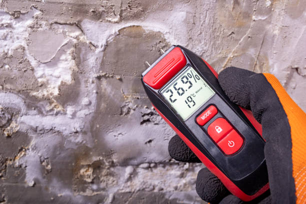 Mold Testing and Removal in Croton On Hudson, NY