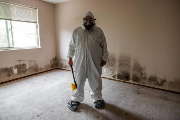 Best Certified Mold Removal  in Croton On Hudson, NY